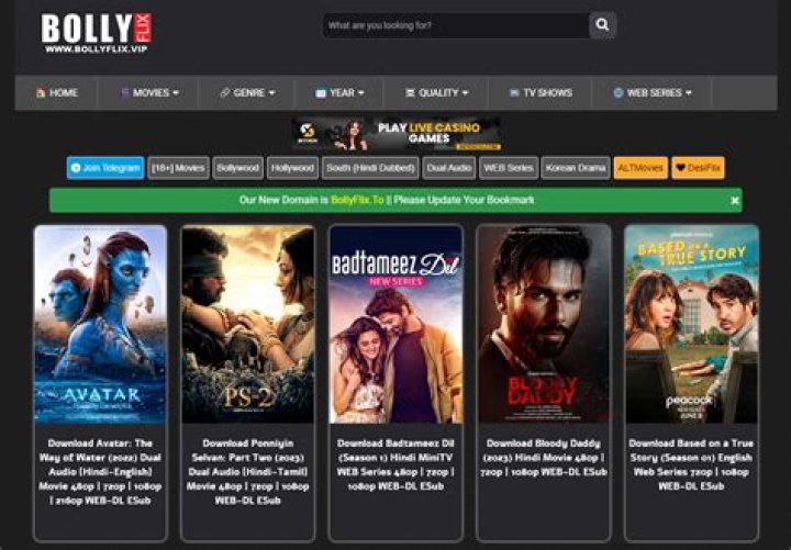 BollyFlix: The Ultimate Guide to Exploring Indian Movies and Series
